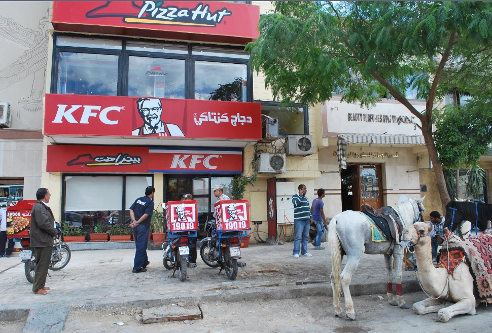 camels wait outside an Egyptian KFC -- participant in the emerging restaurant markets